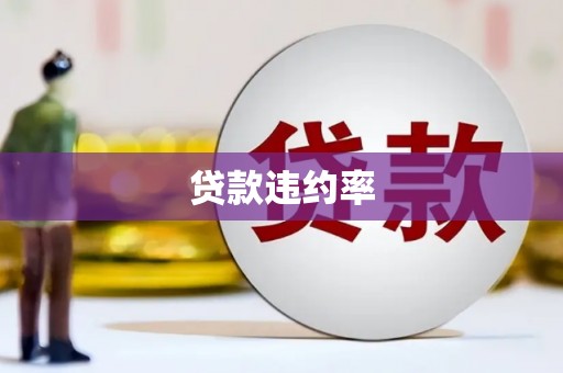 随州贷款违约率