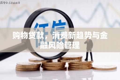 随州购物贷款，消费新趋势与金融风险管理