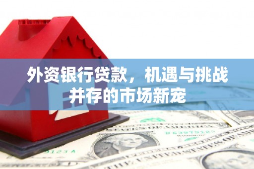 随州外资银行贷款，机遇与挑战并存的市场新宠