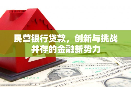 随州民营银行贷款，创新与挑战并存的金融新势力
