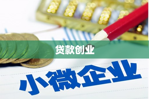随州贷款创业