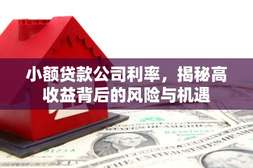 随州小额贷款公司利率，揭秘高收益背后的风险与机遇