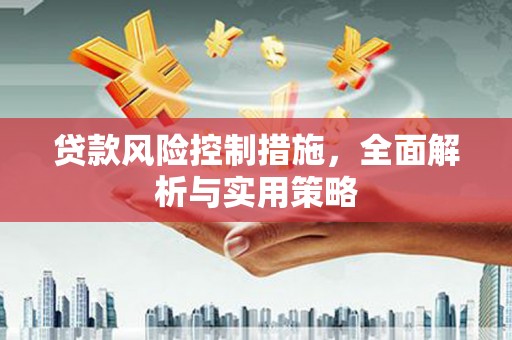 随州贷款风险控制措施，全面解析与实用策略