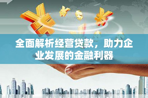 随州全面解析经营贷款，助力企业发展的金融利器