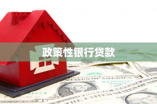 随州政策性银行贷款