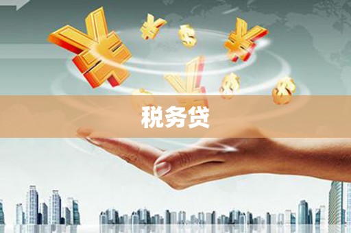 随州税务贷