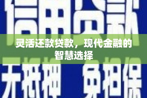 随州灵活还款贷款，现代金融的智慧选择