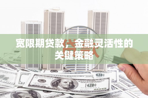 随州宽限期贷款，金融灵活性的关键策略