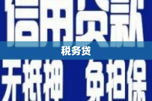 随州税务贷