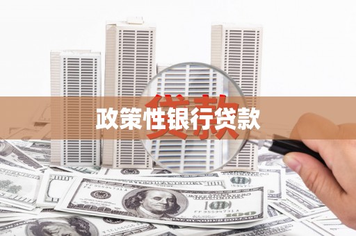 随州政策性银行贷款
