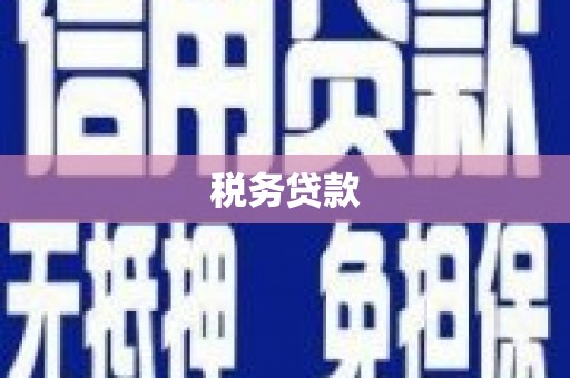 随州税务贷款