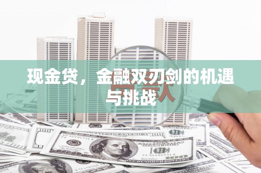 随州现金贷，金融双刃剑的机遇与挑战