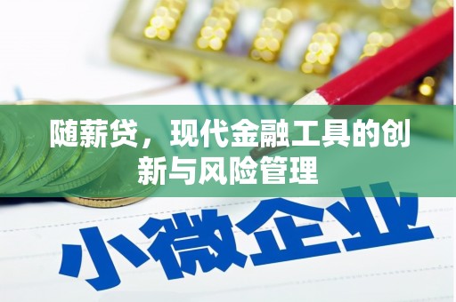 随州随薪贷，现代金融工具的创新与风险管理