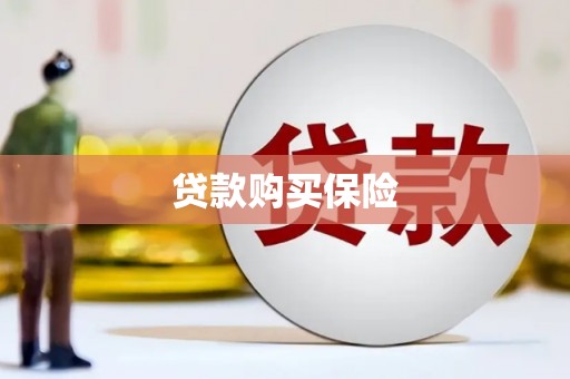 随州贷款购买保险