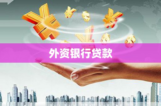 随州外资银行贷款