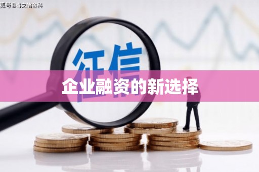 随州企业融资的新选择