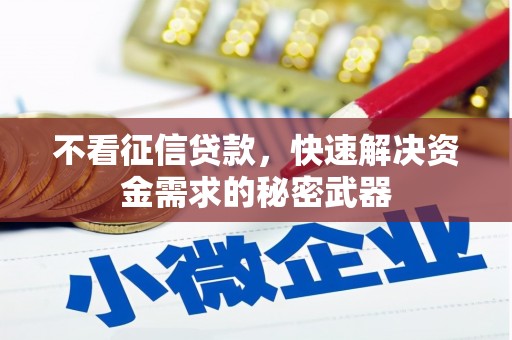 随州不看征信贷款，快速解决资金需求的秘密武器