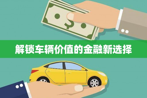 随州解锁车辆价值的金融新选择