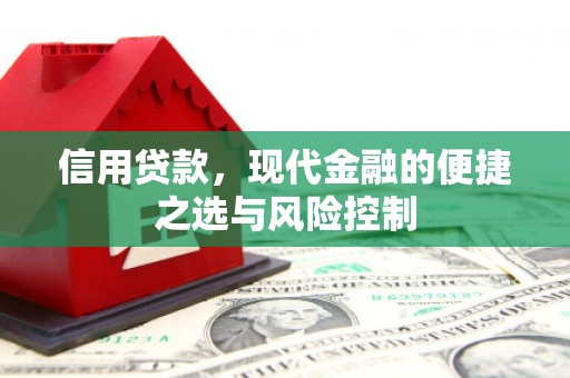 随州信用贷款，现代金融的便捷之选与风险控制