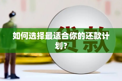 随州如何选择最适合你的还款计划？