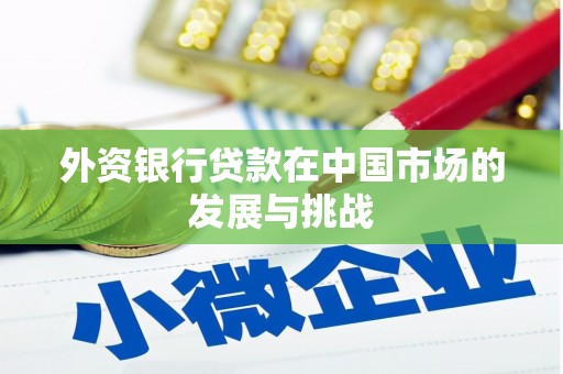 随州外资银行贷款在中国市场的发展与挑战