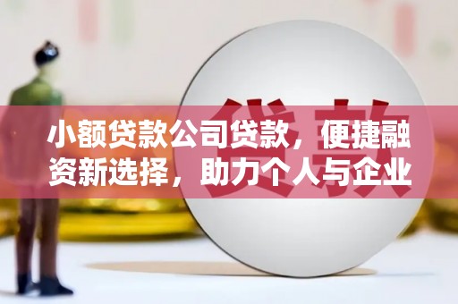 随州小额贷款公司贷款，便捷融资新选择，助力个人与企业成长