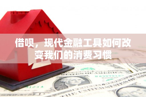随州借呗，现代金融工具如何改变我们的消费习惯