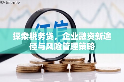 随州探索税务贷，企业融资新途径与风险管理策略