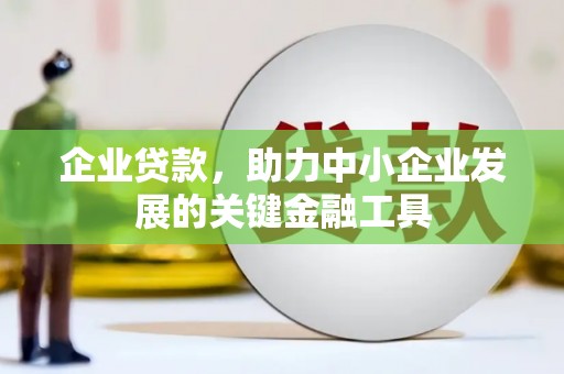 随州企业贷款，助力中小企业发展的关键金融工具