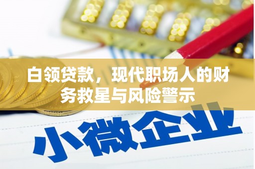 随州白领贷款，现代职场人的财务救星与风险警示