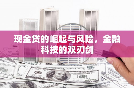 随州现金贷的崛起与风险，金融科技的双刃剑
