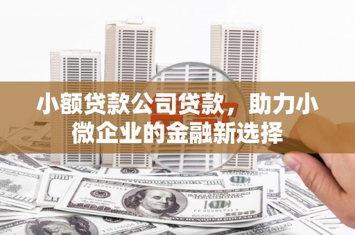 随州小额贷款公司贷款，助力小微企业的金融新选择