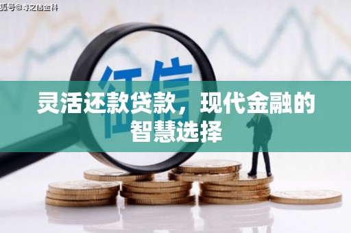 随州灵活还款贷款，现代金融的智慧选择