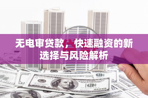 随州无电审贷款，快速融资的新选择与风险解析