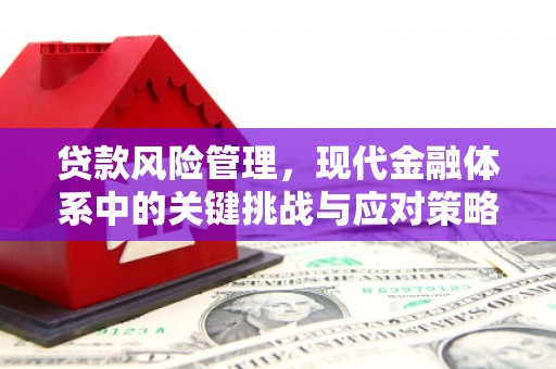 随州贷款风险管理，现代金融体系中的关键挑战与应对策略