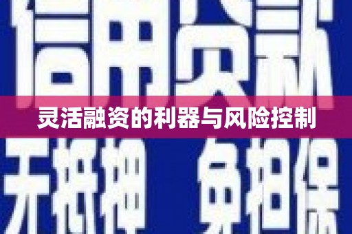 随州灵活融资的利器与风险控制