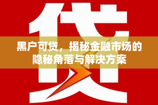 随州黑户可贷，揭秘金融市场的隐秘角落与解决方案