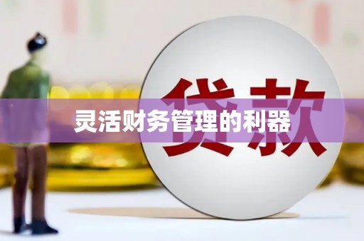 随州灵活财务管理的利器