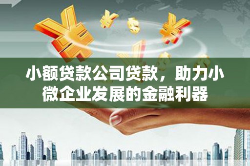 随州小额贷款公司贷款，助力小微企业发展的金融利器