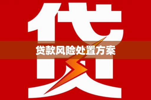 随州贷款风险处置方案