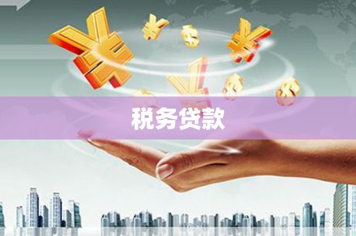 随州税务贷款