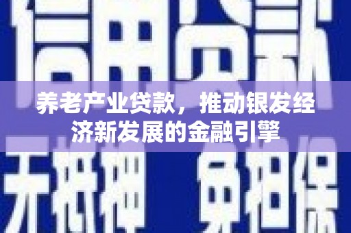 随州养老产业贷款，推动银发经济新发展的金融引擎