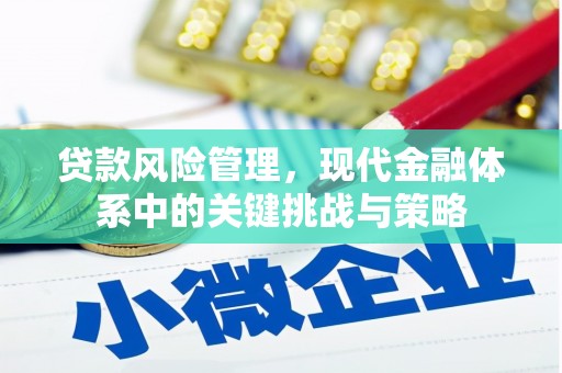 随州贷款风险管理，现代金融体系中的关键挑战与策略