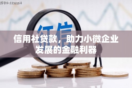 随州信用社贷款，助力小微企业发展的金融利器