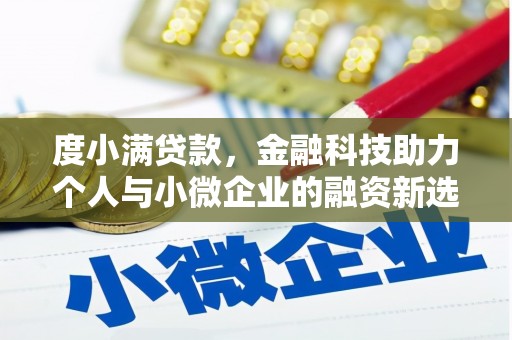 随州度小满贷款，金融科技助力个人与小微企业的融资新选择
