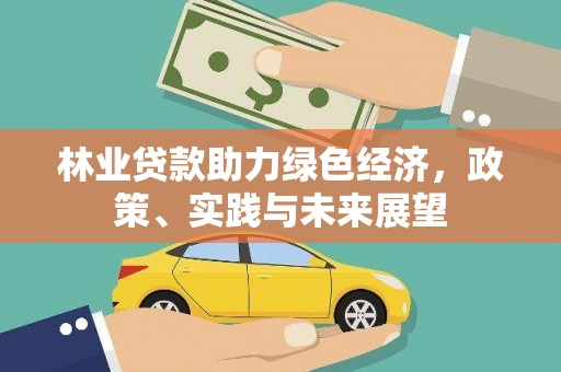 随州林业贷款助力绿色经济，政策、实践与未来展望