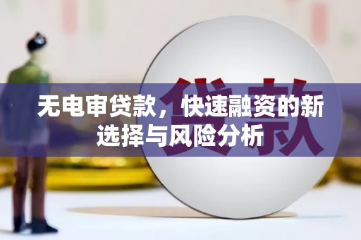 随州无电审贷款，快速融资的新选择与风险分析