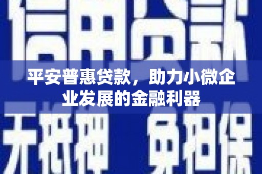 随州平安普惠贷款，助力小微企业发展的金融利器