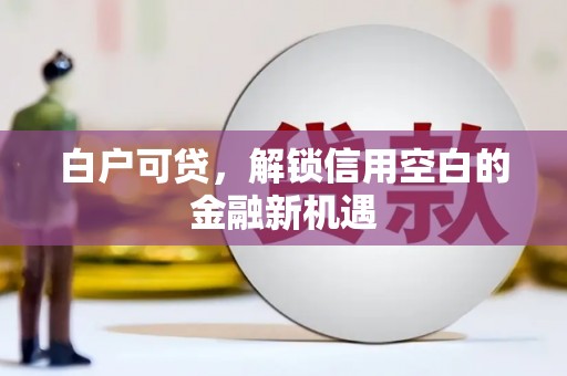 随州白户可贷，解锁信用空白的金融新机遇