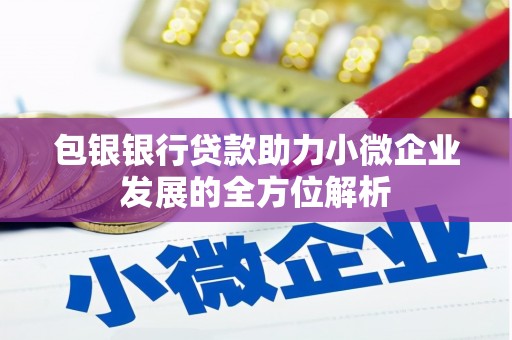 随州包银银行贷款助力小微企业发展的全方位解析
